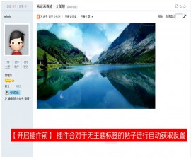点击放大 TAG标签自动获取SEO 1.3 商业版 百度优化工具 Discuz插件