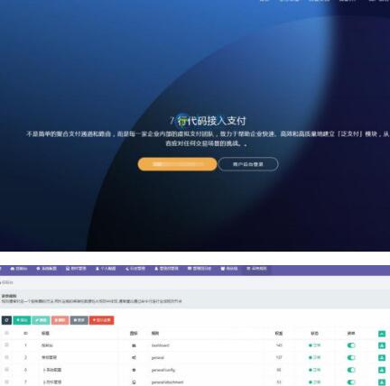 点击放大 2020最新第四方聚合支付代付系统源码+上游通道对接教程