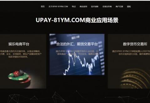 点击放大 修复版upay数字货币承兑支付系统+第三方支付接口