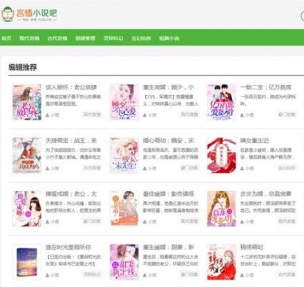 点击放大 简洁大方WordPress多本小说主题