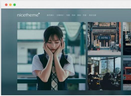 点击放大 Cosy3.1.3时尚简约博客自媒体类WordPress响应式主题