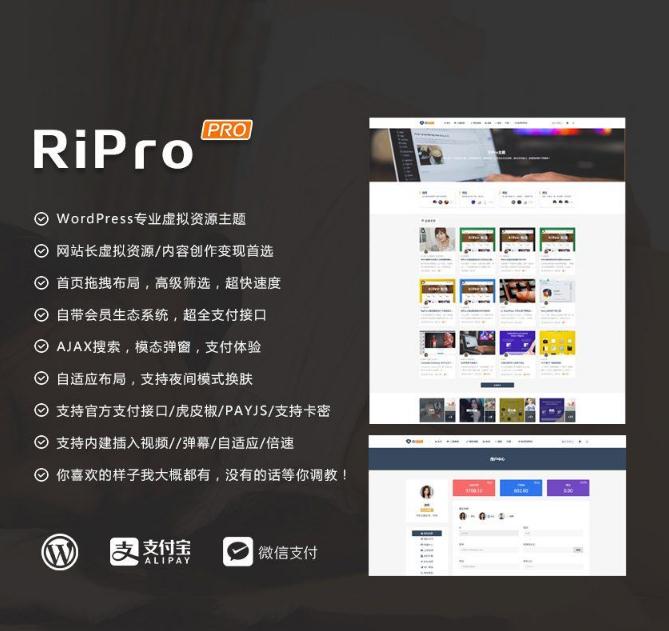 点击放大 WordPress RiPro主题最新破解去授权无限制版本V4.3.0 支持支付宝