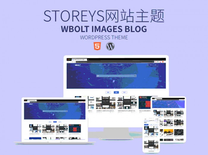 点击放大 Storeys V1.0.0免费资源WordPress下载站响应式模板