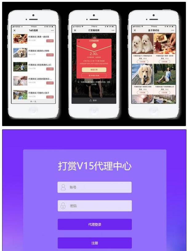 点击放大 DS正版视频打赏系统V15+代理商功能+试看功能+多种免签支付接口+防封功能