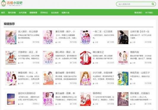 点击放大 界面简洁大方的XSnov免费小说主题源码 WordPress主题