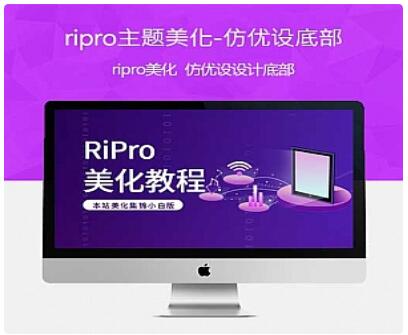 点击放大 RIPRO主题美化-仿素材虎网底部动图介绍