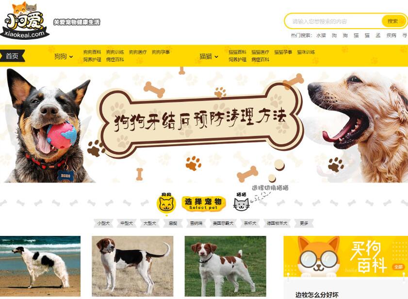 点击放大 帝国CMS内核仿《小可爱宠物网》宠物资讯平台网站源码完整版+火车头采集+手机版_源码下载