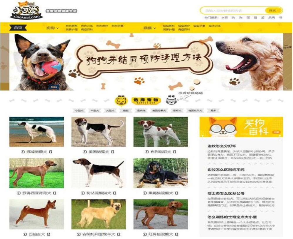 点击放大 帝国CMS内核仿《小可爱宠物网》宠物信息平台网站源码全版机车收藏手机版_源码下载