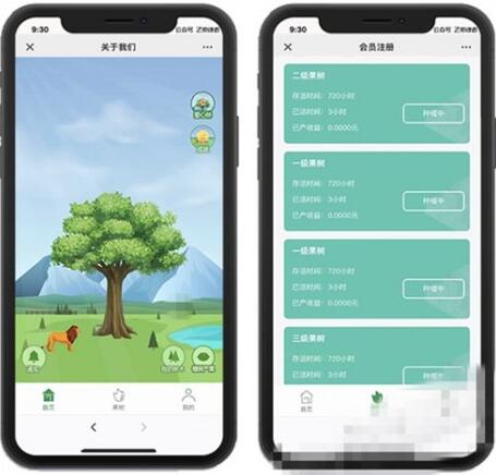 点击放大 新版疯狂森林养殖挂机赚钱区块链源码支持个个免签收款