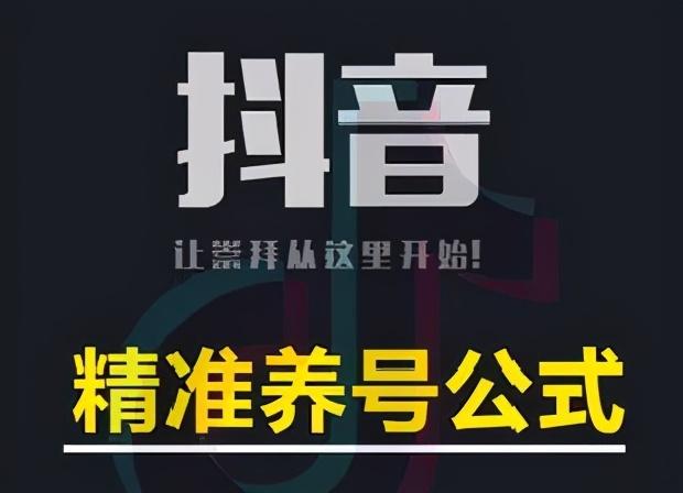 点击放大 2023爆火抖音自动养号攻略、清晰打上系统标签,打造活跃账号!