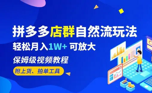 点击放大 拼多多店群自然流玩法:轻松月入 1W+ 保姆级视频教程(附上货、拍单工具)