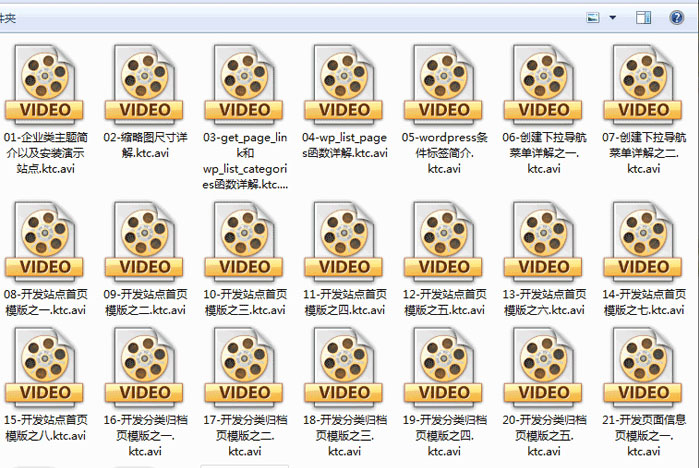 点击放大 WordPress主题开发案例实战视频教程