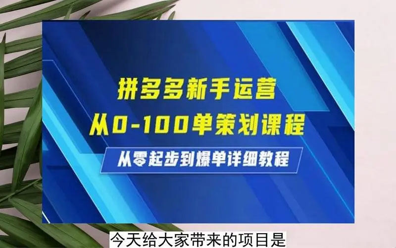 点击放大 拼多多新手运营从 0-100 单策划课程,从零起步到爆单详细教程