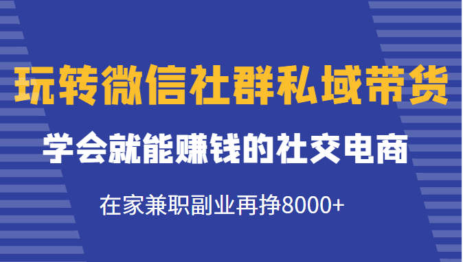 点击放大 玩转微信社群私域带货,学会就能赚钱的社交电商,在家兼职副业再挣8000+