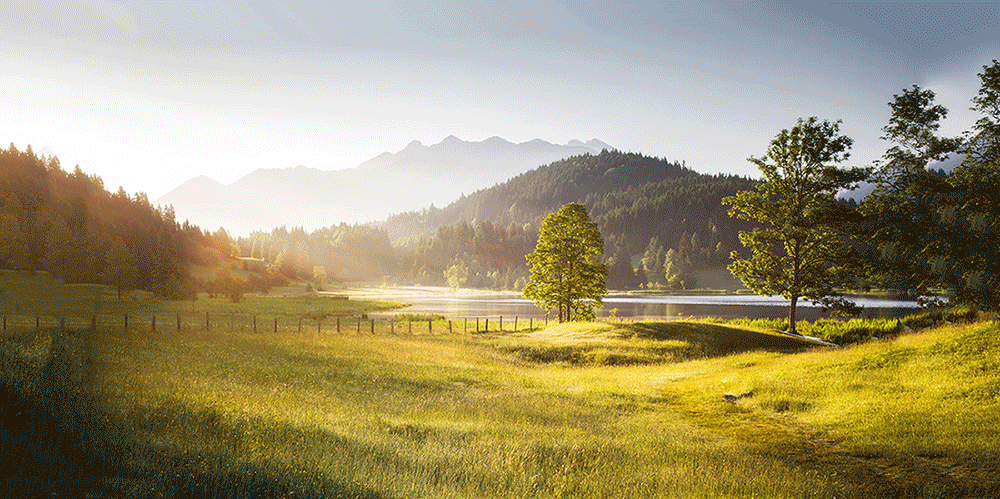 点击放大 云天 AI 风景动图视频制作:短视频平台快速涨粉,轻松变现,更新 87 节课