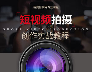 2024年名师课程《Ps教程从小白到高手》