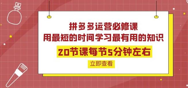 点击放大 拼多多运营必修课:20节课每节5分钟左右,用最短的时间学习最有用的知识