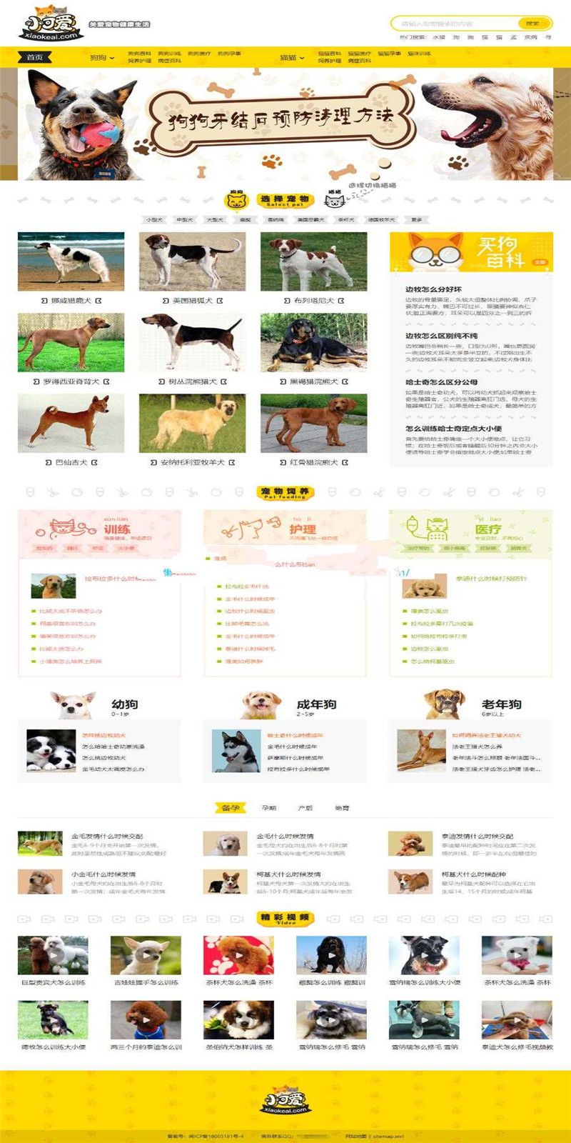 1615120429758739.jpg 2.jpg